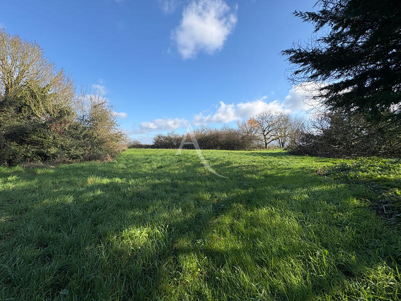 Maison - 262 m² - 8 pièces