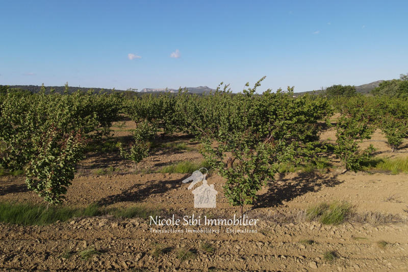 Terrain agricole - 17 525 m²