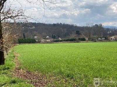 Terrain constructible - 6 151 m²