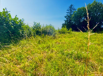 Terrain - 1 200 m²