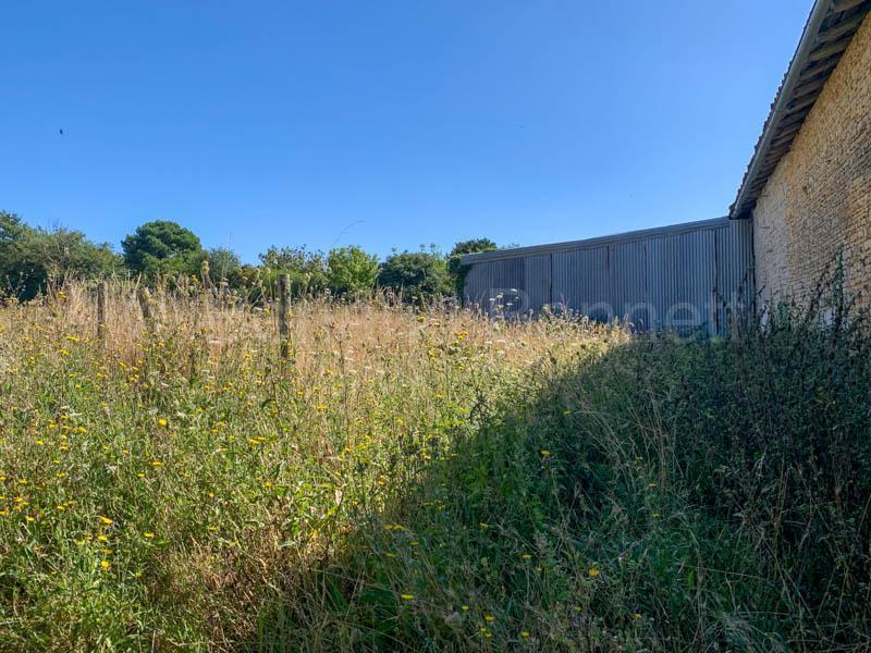 Maison en pierre - 95 m² - 6 pièces