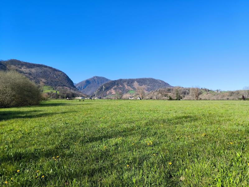 Ferme - 149 m² - 5 pièces