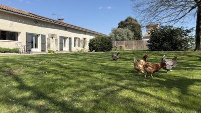 Propriété - 283 m² - 10 pièces