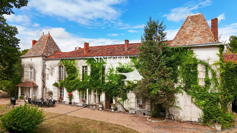 Château - 600 m² - 19 pièces