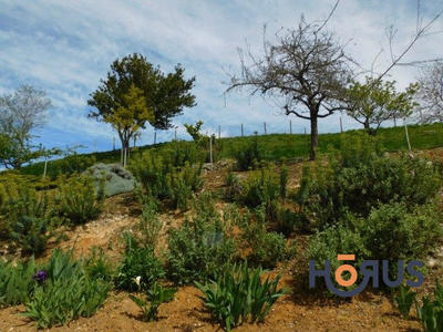 Viager - Maison - 108 m² - 5 pièces