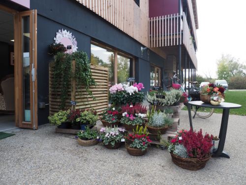 La Vie en Rose Fleuriste