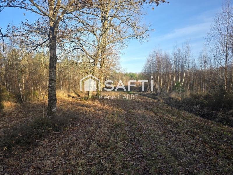 Maison - 237 m² - 11 pièces