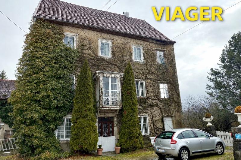 Viager - Maison - 264 m² - 13 pièces