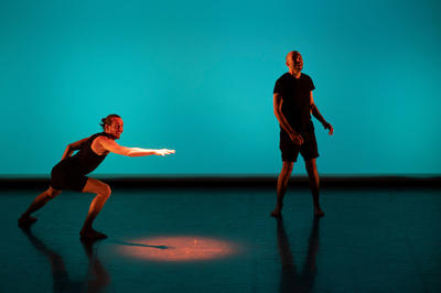 Spectacle de Danse - le poisson qui vivait dans les arbres - Sylvain Riéjou, Hervé Walbecq