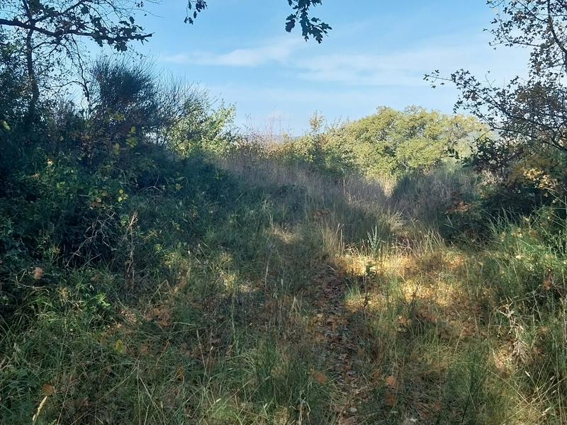 Terrain agricole - 36 175 m²