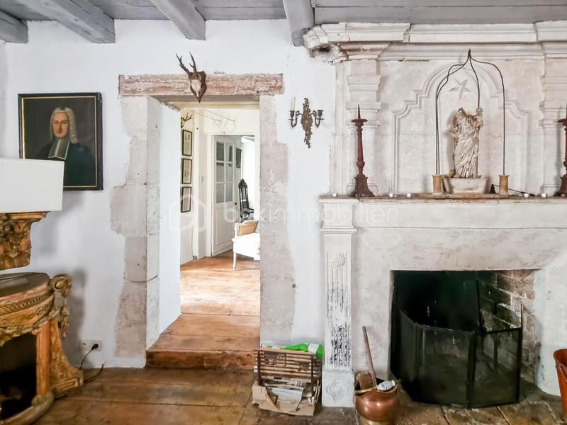 Maison en pierre - 560 m² - 11 pièces