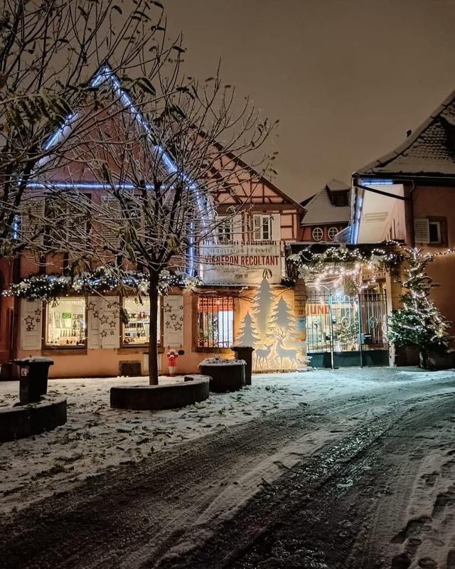 Cave de Noël - Domaine Martin Jund : concert de Noël de la Manécanterie de Saint Jean