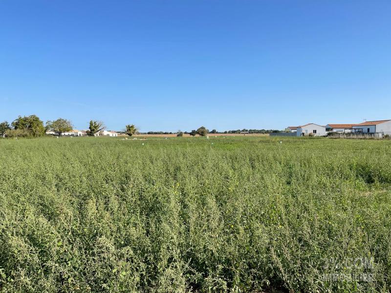 Terrain constructible - 620 m²