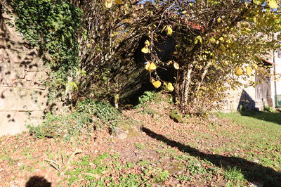 Maison - 45 m² - 1 pièce