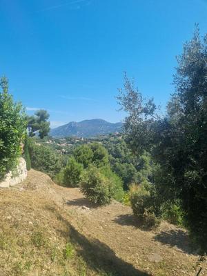 Terrain constructible - 1 011 m²