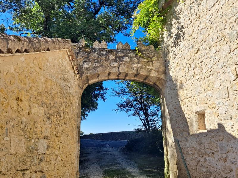 Château - 570 m² - 12 pièces