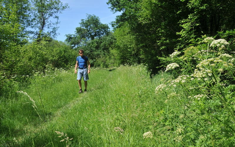Randonnée accompagnée Capb : Bartas de l'Ardanavy