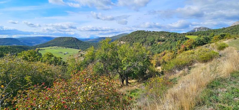 Maison - 230 m² - 6 pièces