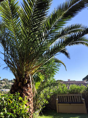 Appartement - 14 m² - 1 pièce