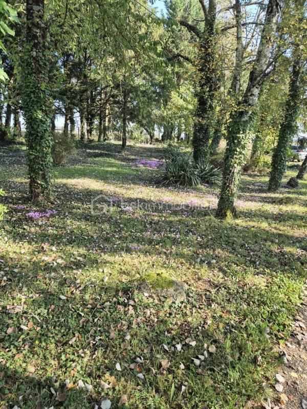 Longère - 123 m² - 4 pièces