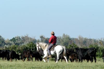 Manade des Chanoines