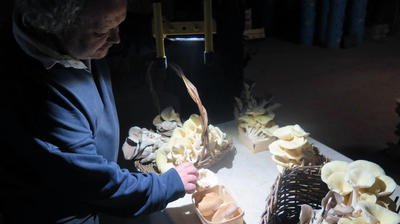 A la Carrière du bienheureux