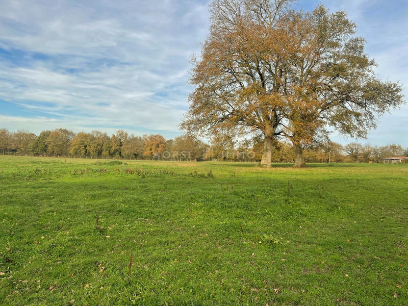 Maison - 134 m² - 3 pièces