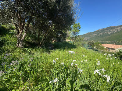 Terrain constructible - 623 m²