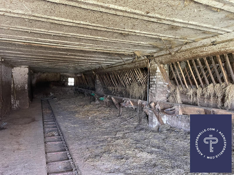 Ferme - 150 m² - 5 pièces