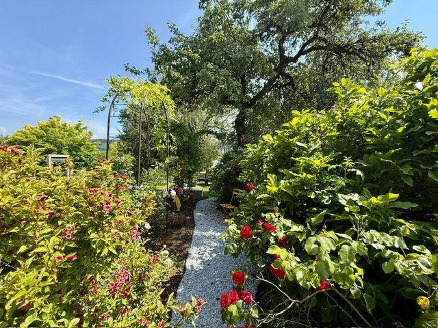 Maison - 332 m² - 9 pièces