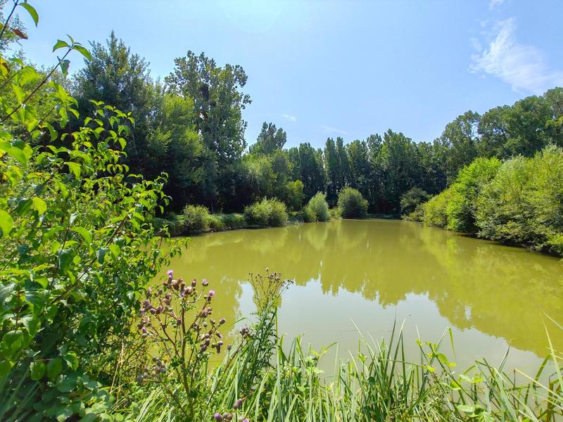 Maison - 264 m² - 8 pièces