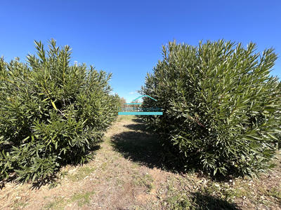 Propriété - 400 m² - 20 pièces