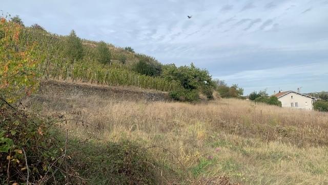 Terrain constructible - 1 070 m²