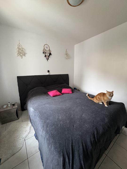 Appartement - 53 m² - 2 pièces