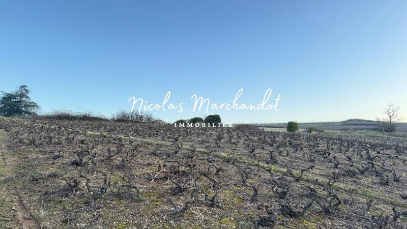 Local commercial - 130 900 m²