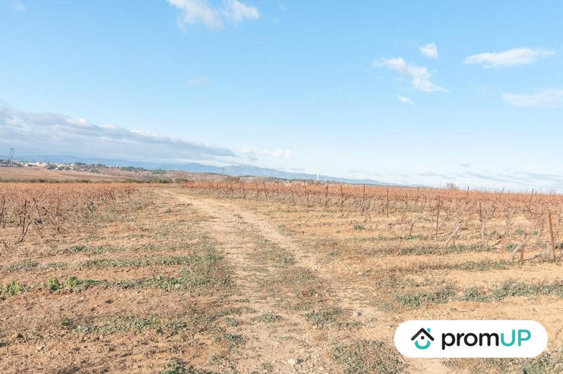 Terrain agricole - 57 000 m²