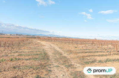 Terrain agricole - 57 000 m²