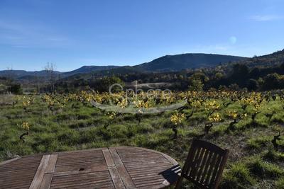 Propriété - 223 m² - 10 pièces