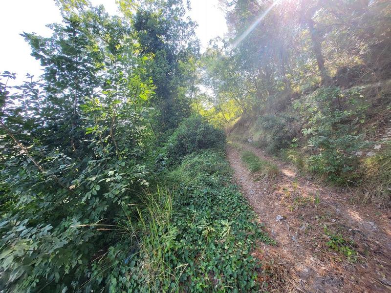 Terrain - 16 415 m²