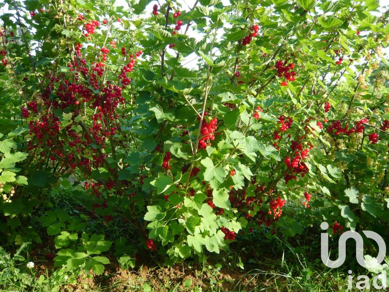 Maison - 215 m² - 8 pièces