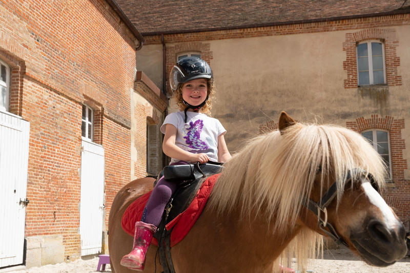 Baptêmes poneys - ateliers soins du poney