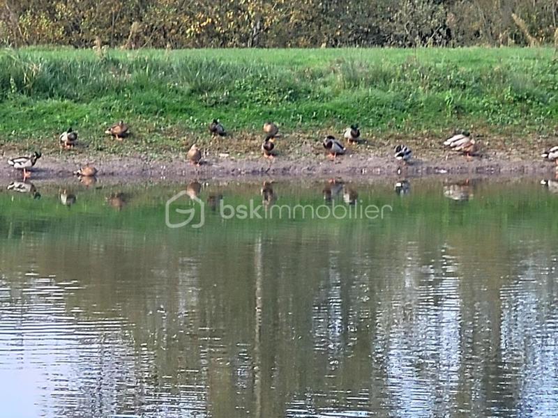 Propriété - 141 m² - 5 pièces