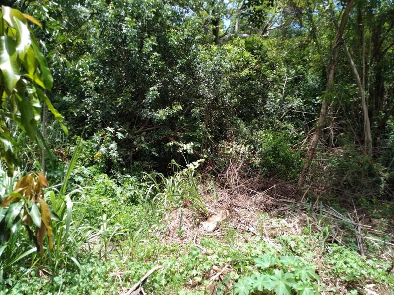 Terrain constructible - 3 650 m²