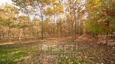 Maison - 158 m² - 5 pièces