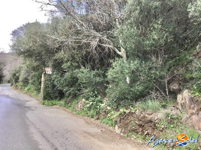 Terrain agricole - 4 000 m²