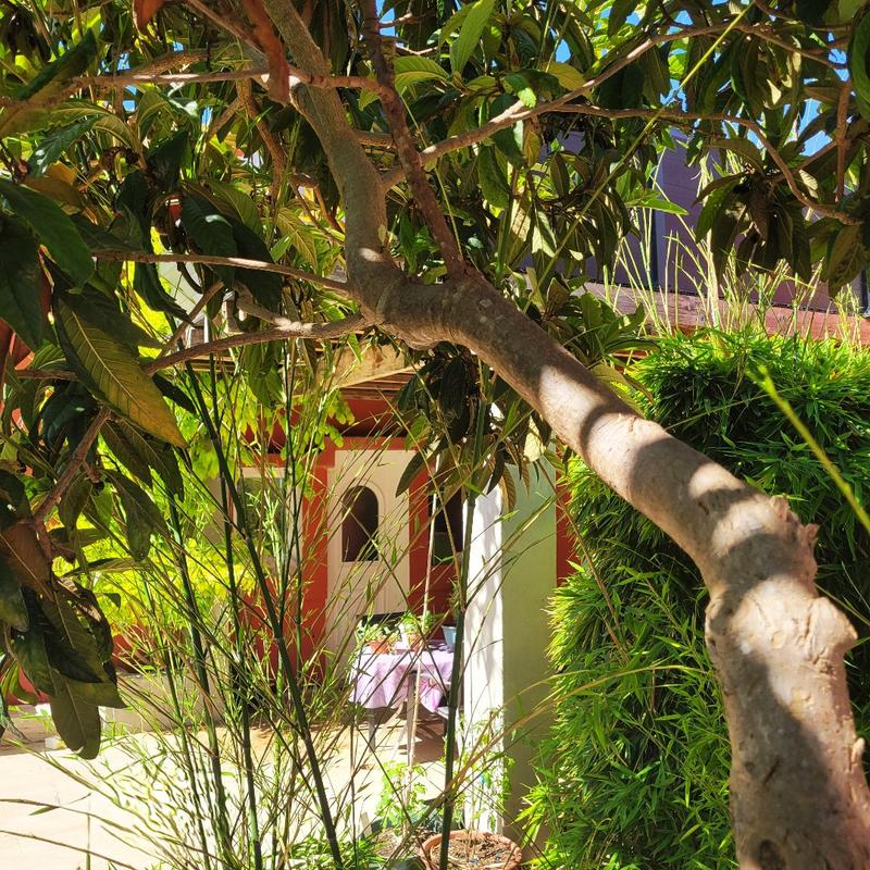 Maison - 300 m² - 10 pièces