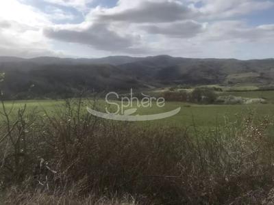 Propriété - 295 m² - 10 pièces