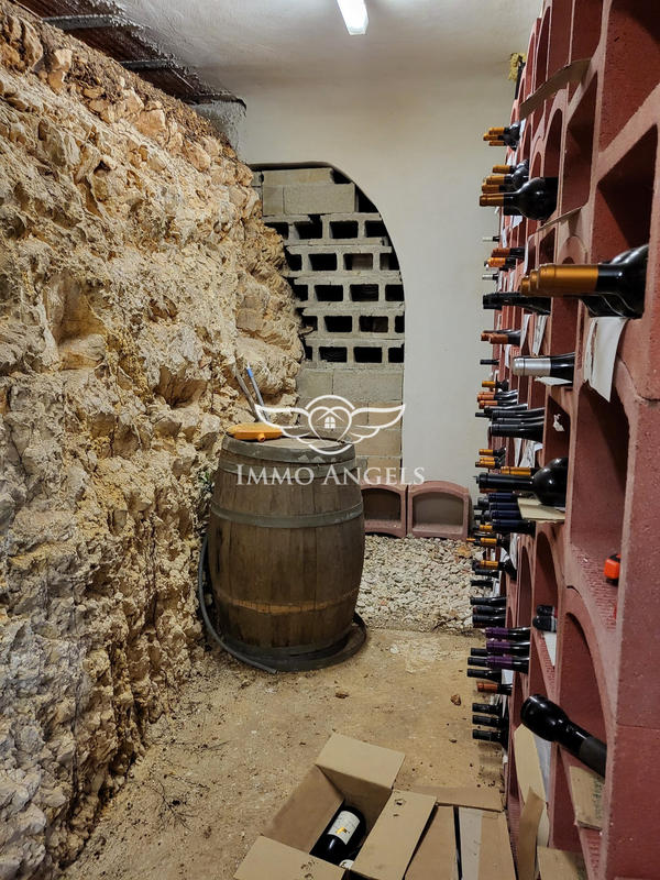 Maison traditionnelle - 275 m² - 8 pièces