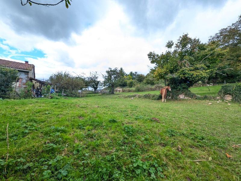 Maison - 327 m² - 10 pièces