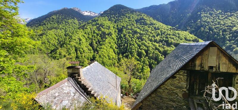 Maison de campagne - 100 m² - 3 pièces
